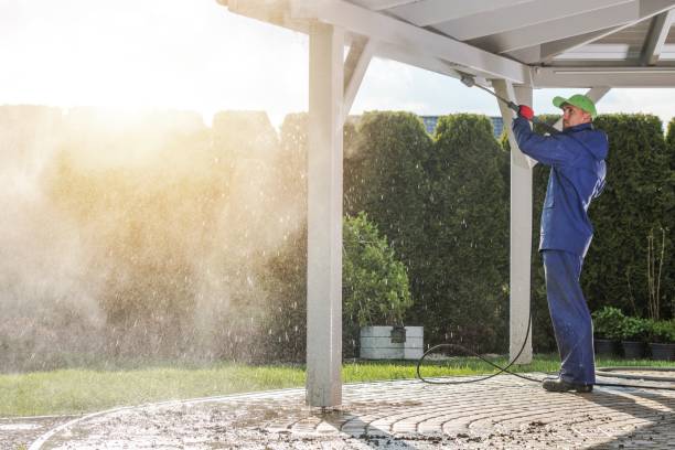 Pre-Holiday Cleaning in Calhoun City, MS